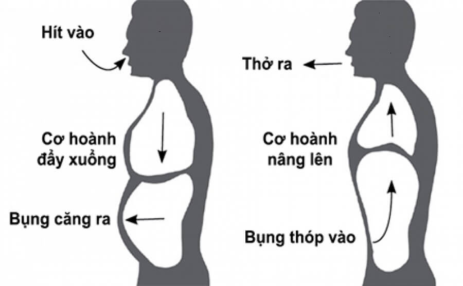 Thở cơ hoành